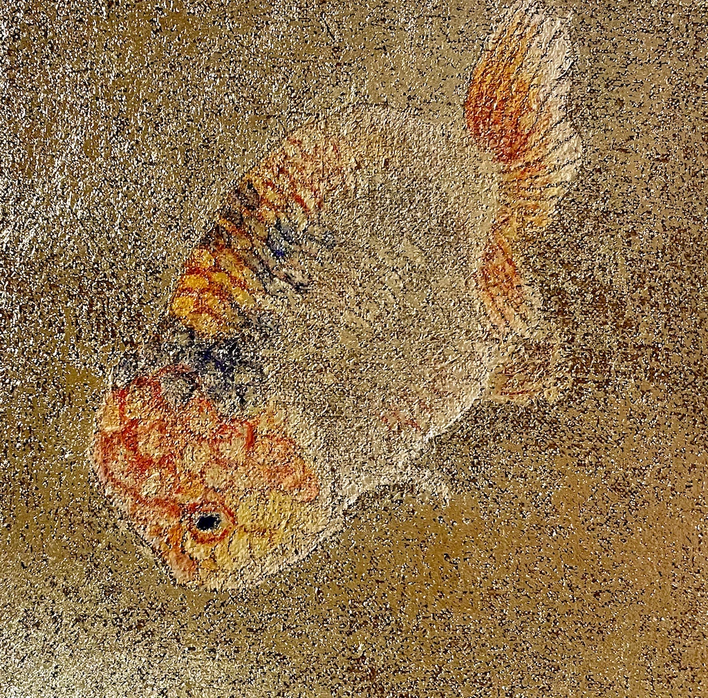 金魚II